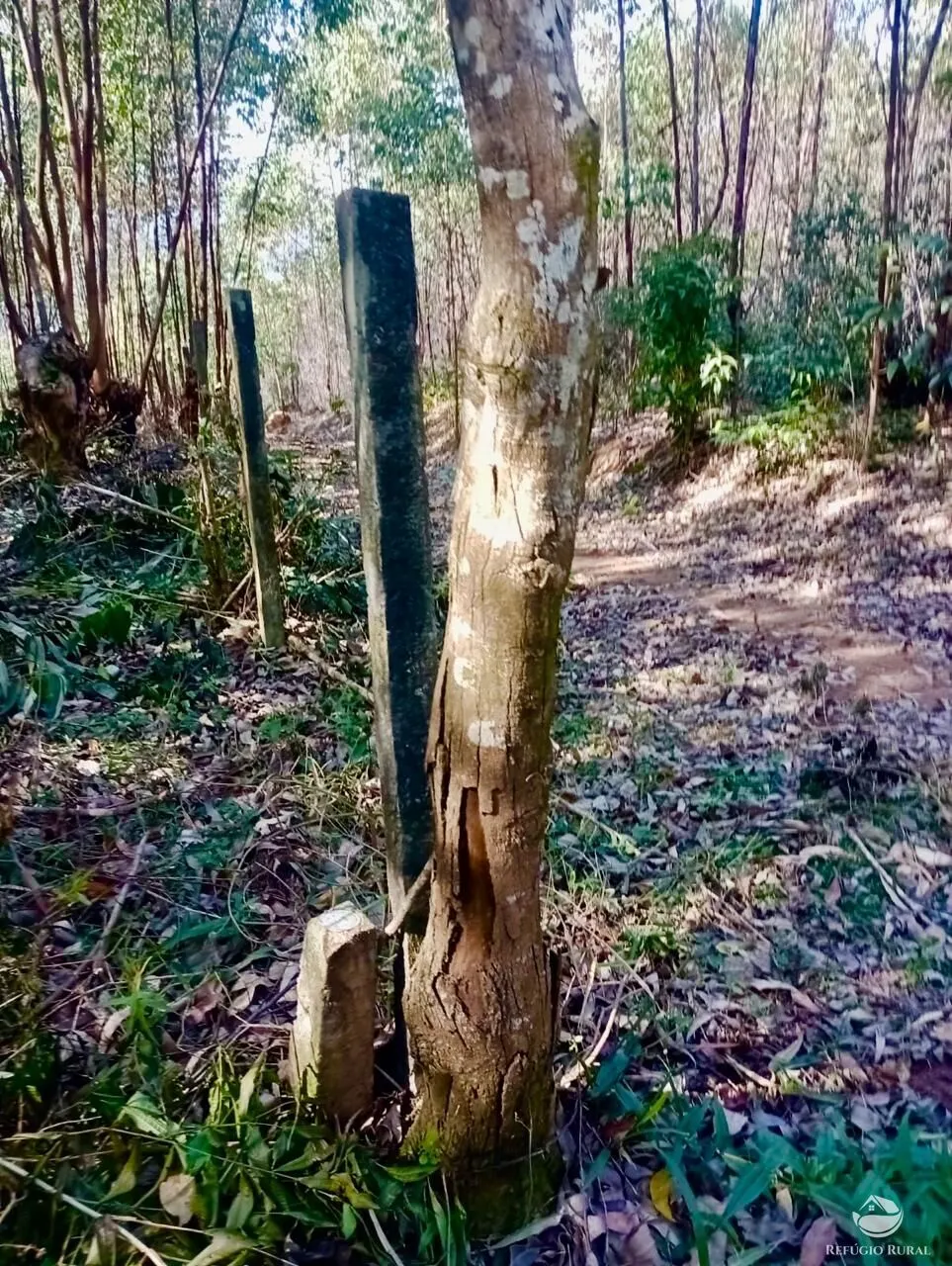 Small farm for sale of 19 acres in Nazaré Paulista, SP, Brazil