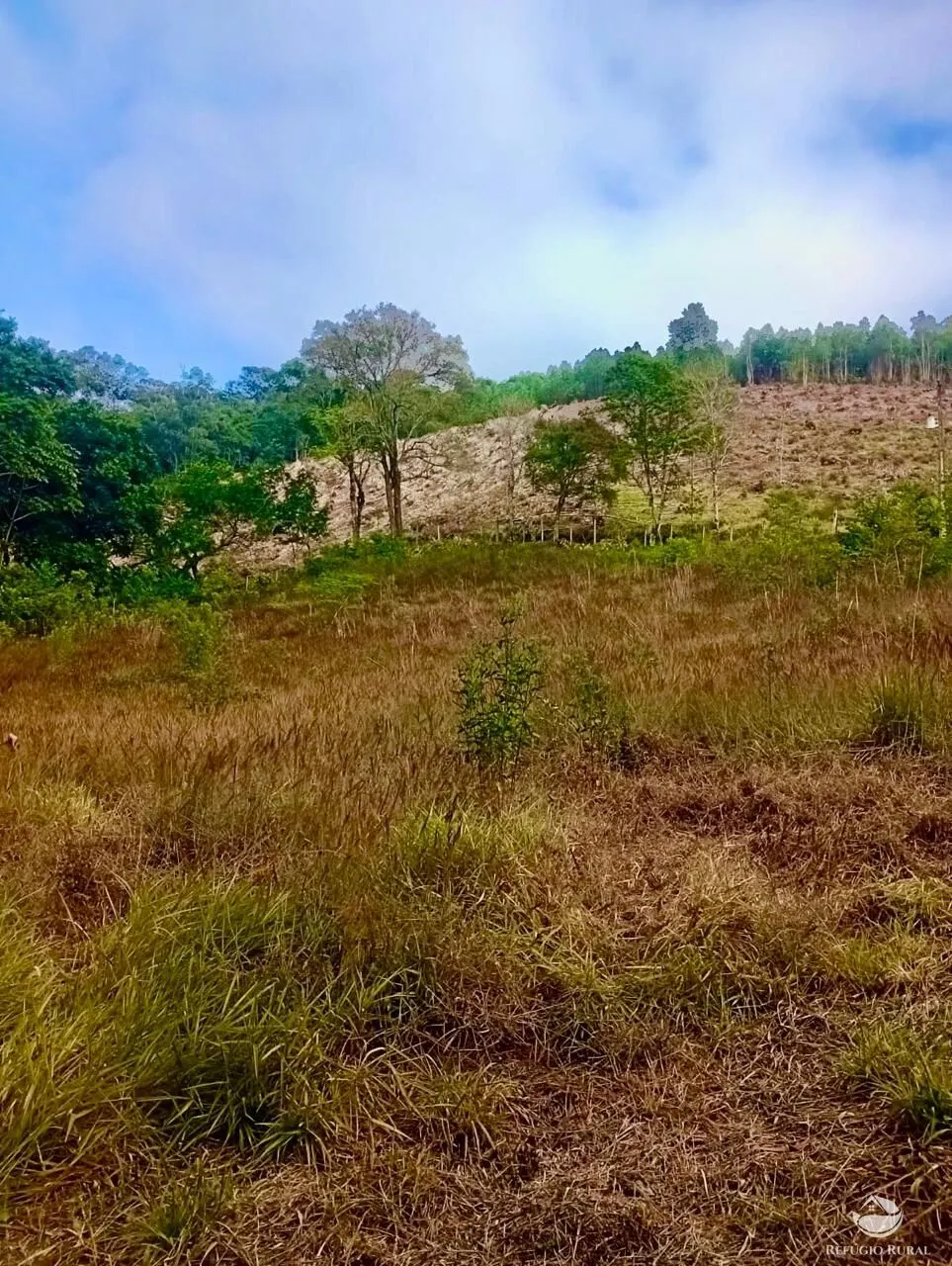 Small farm for sale of 19 acres in Nazaré Paulista, SP, Brazil