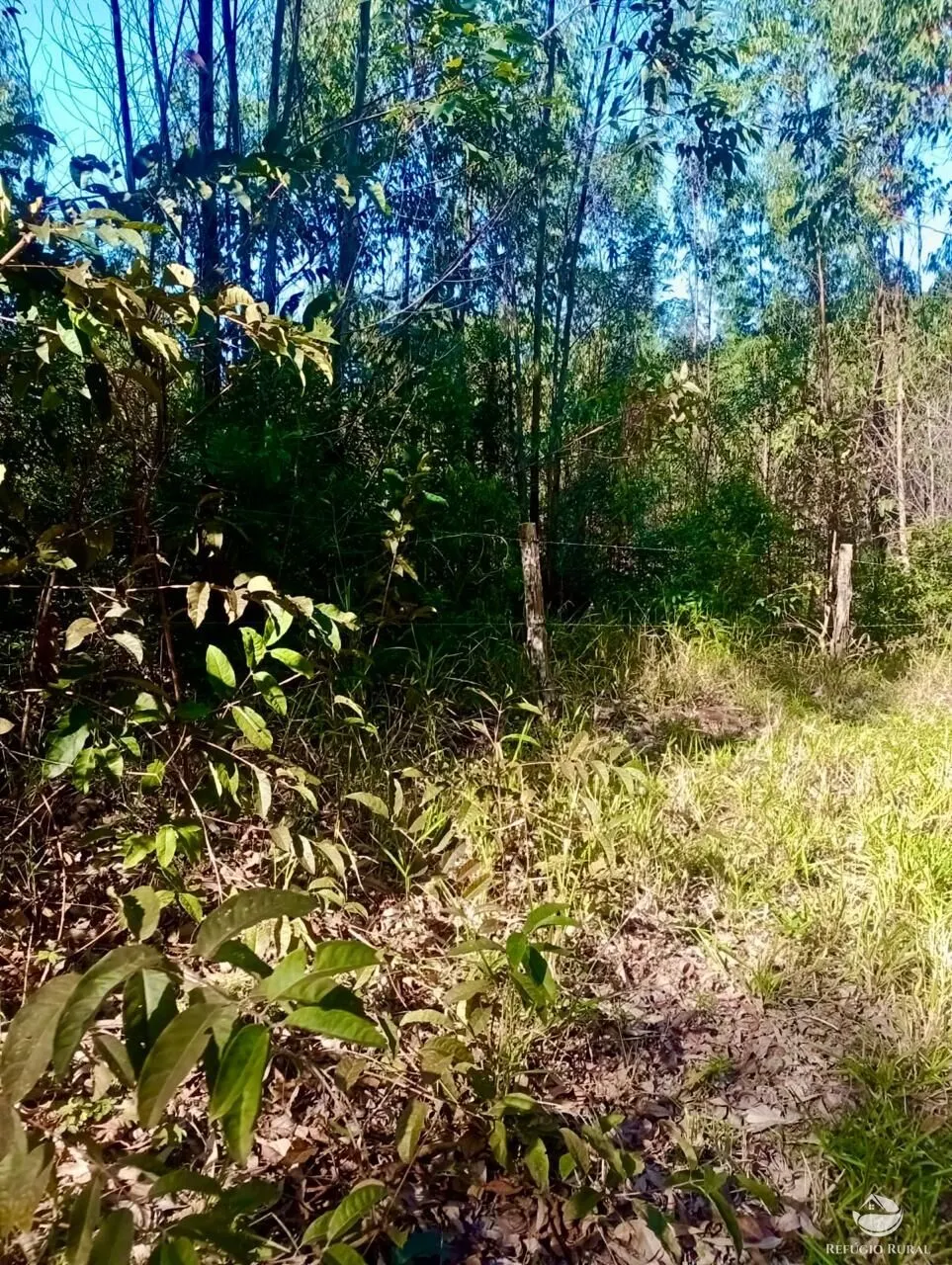 Small farm for sale of 19 acres in Nazaré Paulista, SP, Brazil