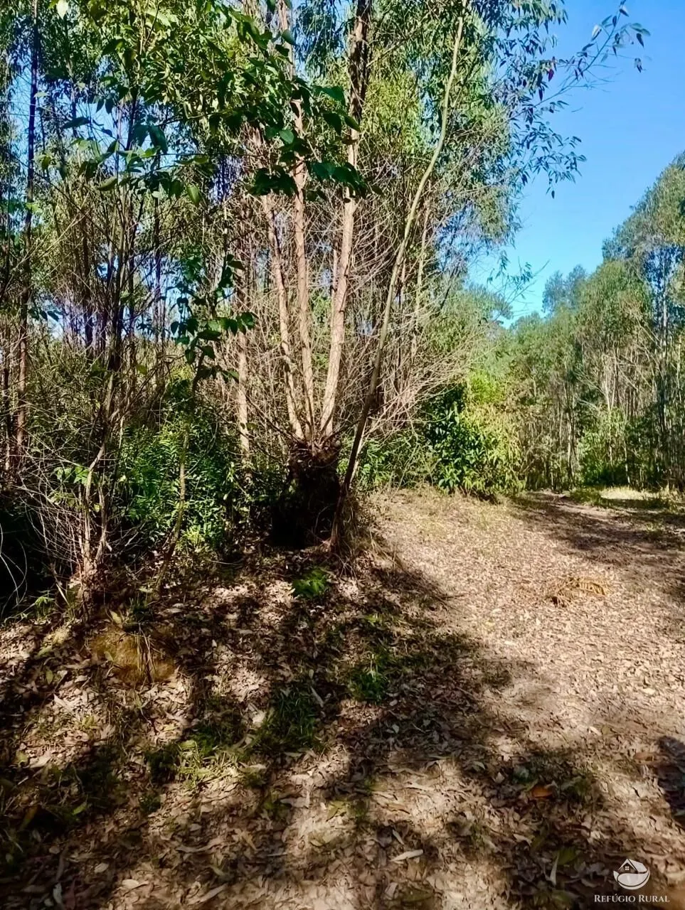 Small farm for sale of 19 acres in Nazaré Paulista, SP, Brazil