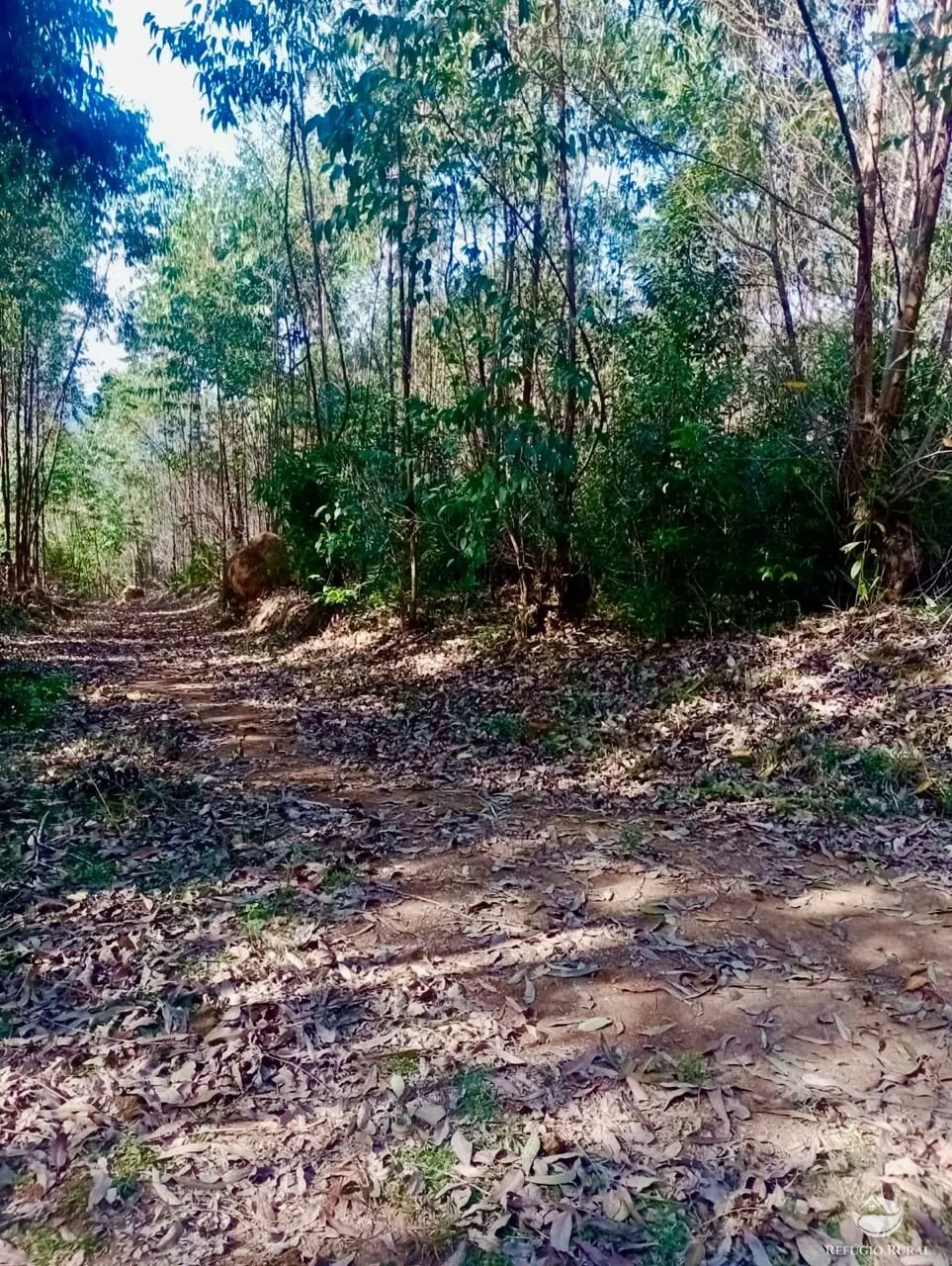 Small farm for sale of 19 acres in Nazaré Paulista, SP, Brazil