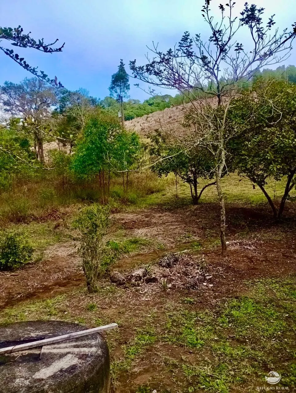 Small farm for sale of 19 acres in Nazaré Paulista, SP, Brazil