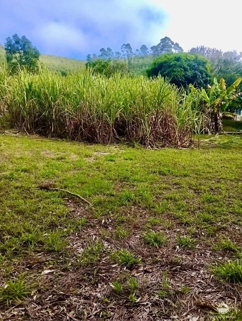 Small farm for sale of 19 acres in Nazaré Paulista, SP, Brazil