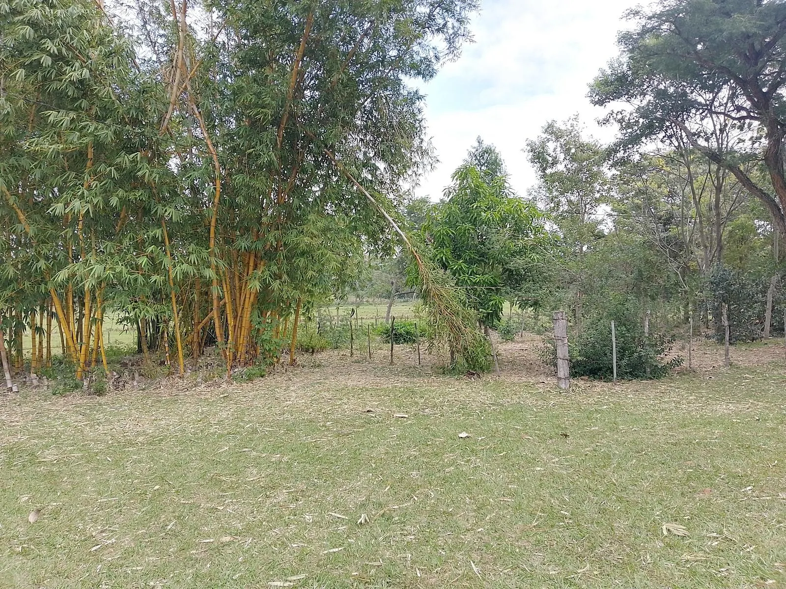 Farm for sale of 47 acres in Pirayú, Paraguay