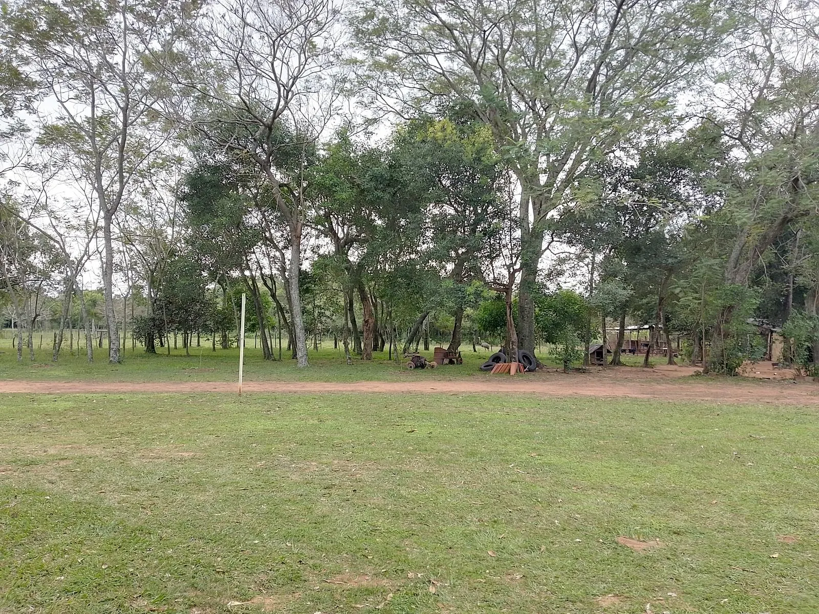 Farm for sale of 47 acres in Pirayú, Paraguay