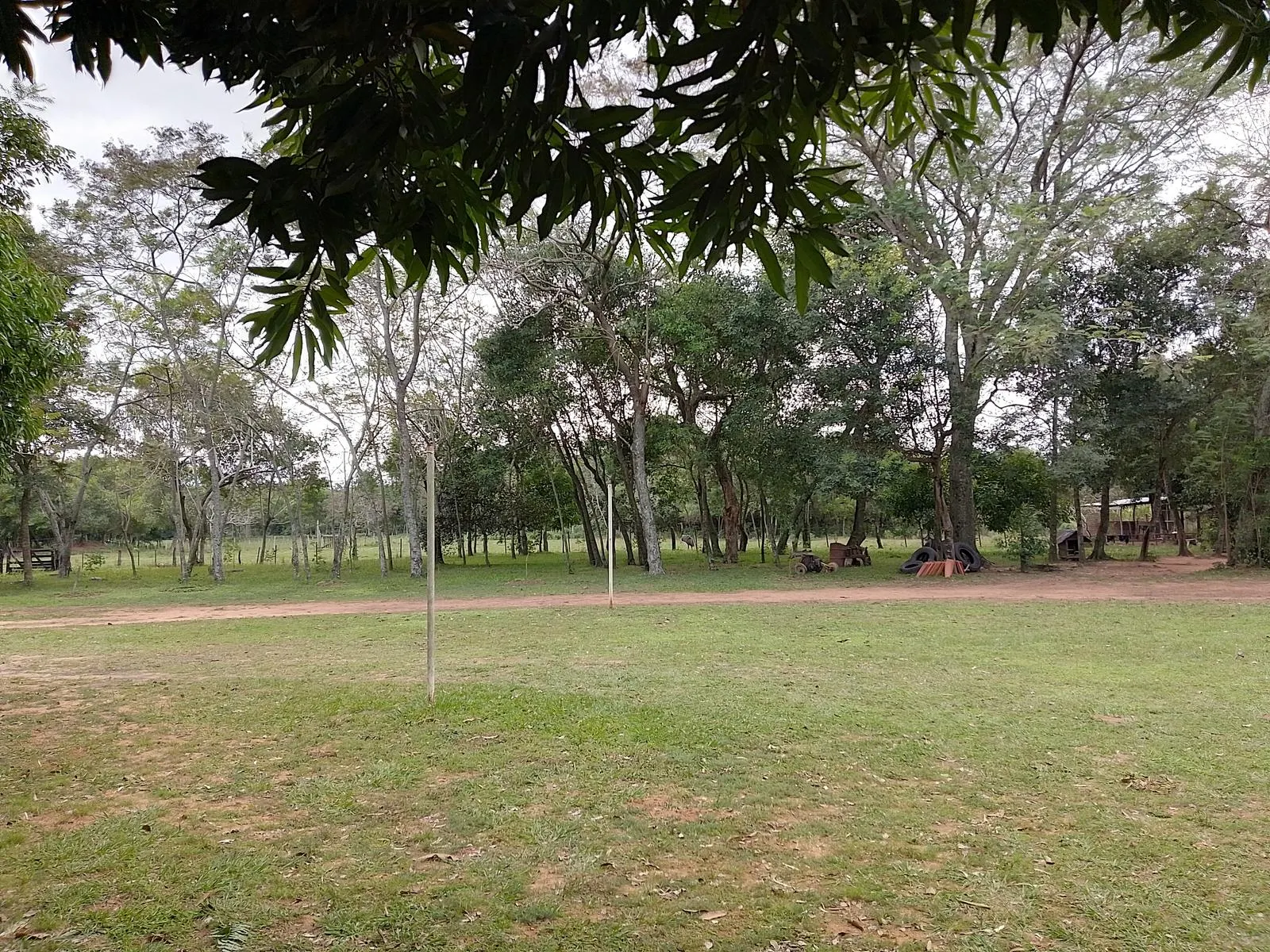 Farm for sale of 47 acres in Pirayú, Paraguay