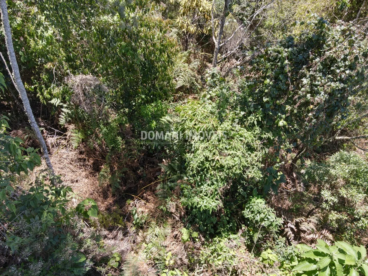 Terreno à venda de 3.540 m² em Campos do Jordão, SP, Brasil