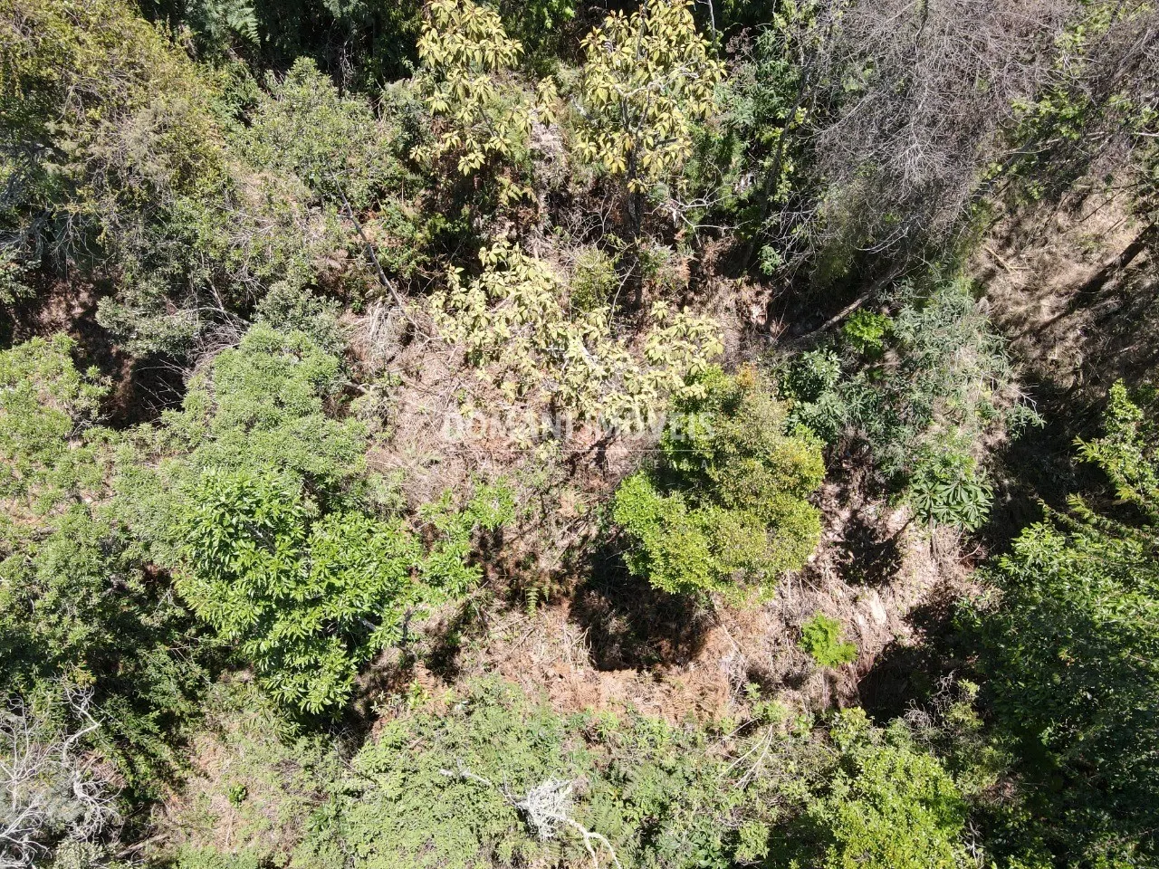 Terreno à venda de 3.540 m² em Campos do Jordão, SP, Brasil