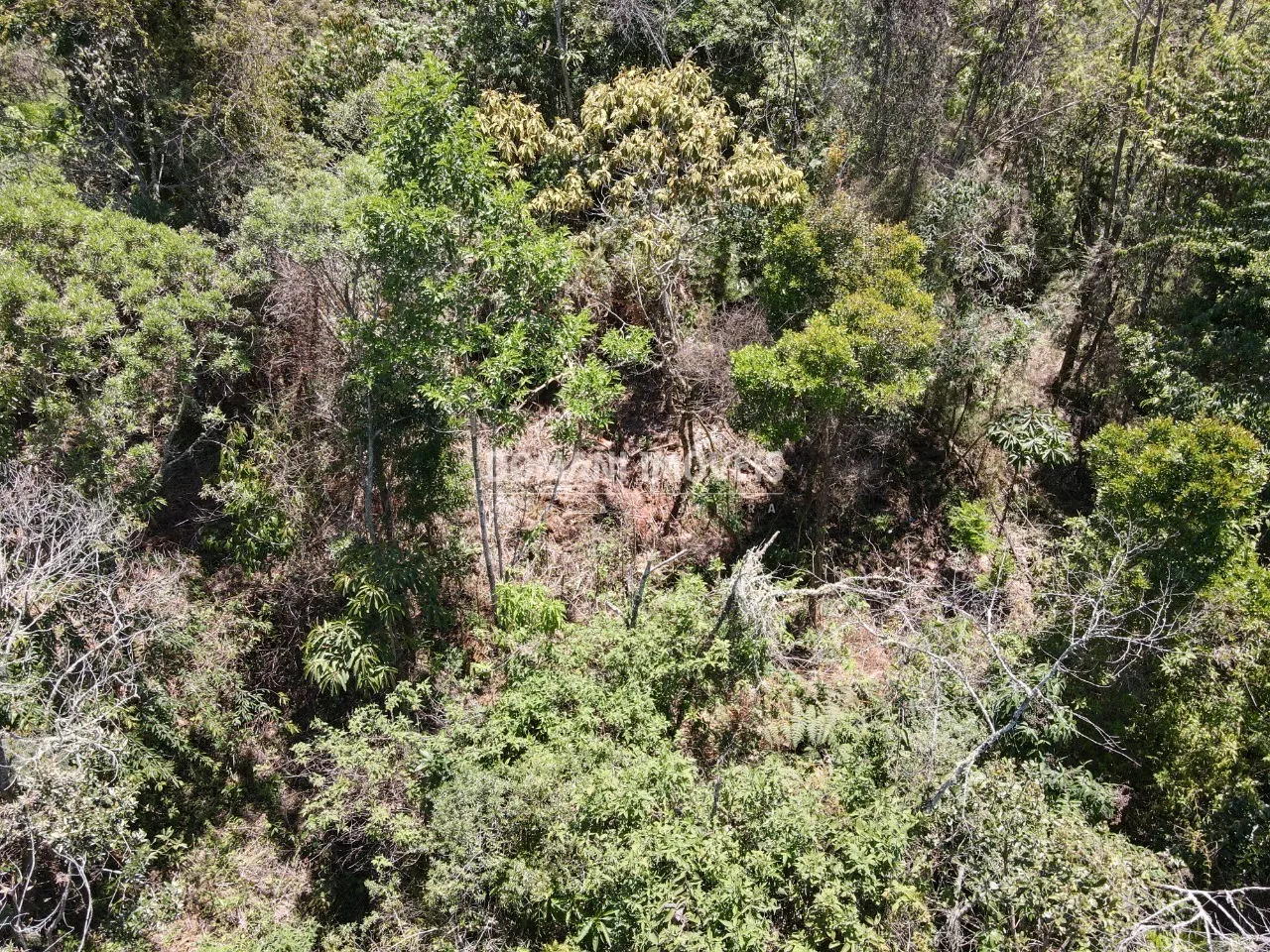 Terreno à venda de 3.540 m² em Campos do Jordão, SP, Brasil