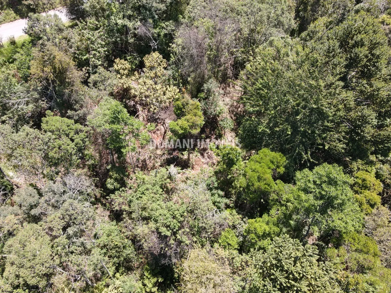 Terreno à venda de 3.540 m² em Campos do Jordão, SP, Brasil