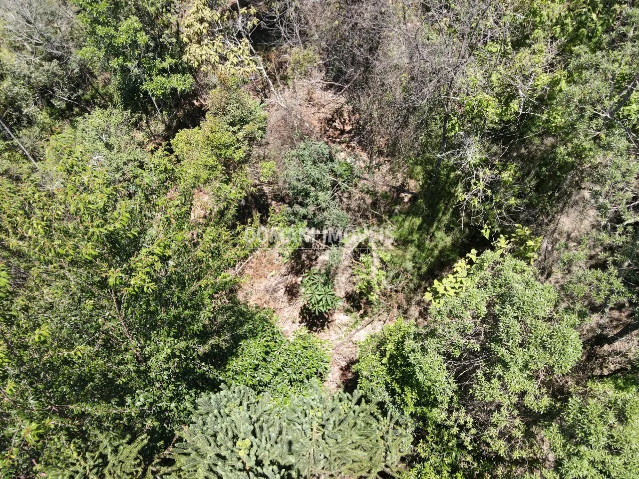 Terreno à venda de 3.540 m² em Campos do Jordão, SP, Brasil