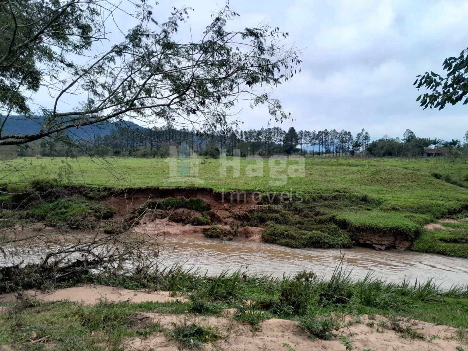 Fazenda à venda de 20 ha em Turvo, SC, Brasil