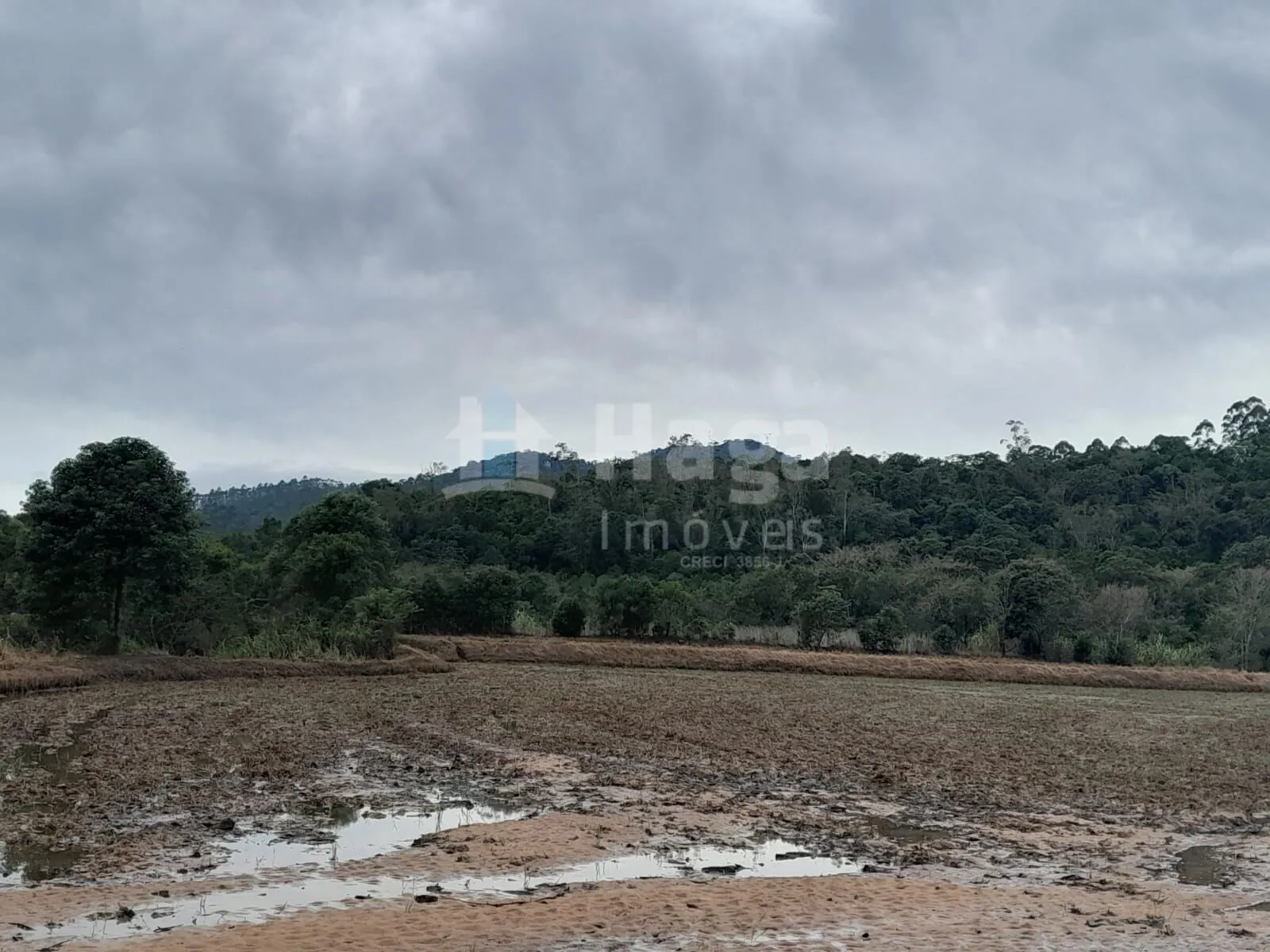 Fazenda à venda de 20 ha em Turvo, SC, Brasil