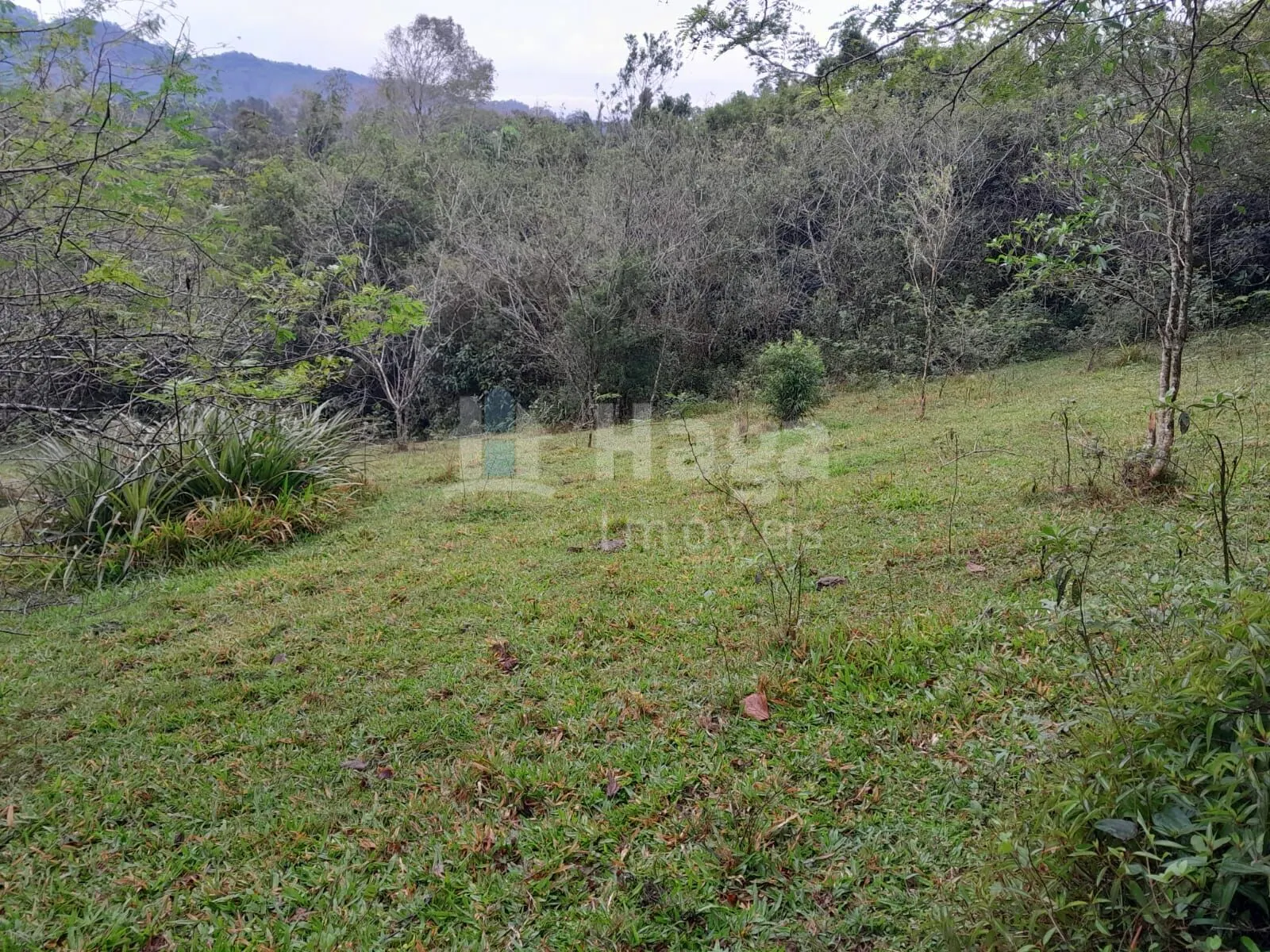 Fazenda à venda de 20 ha em Turvo, SC, Brasil