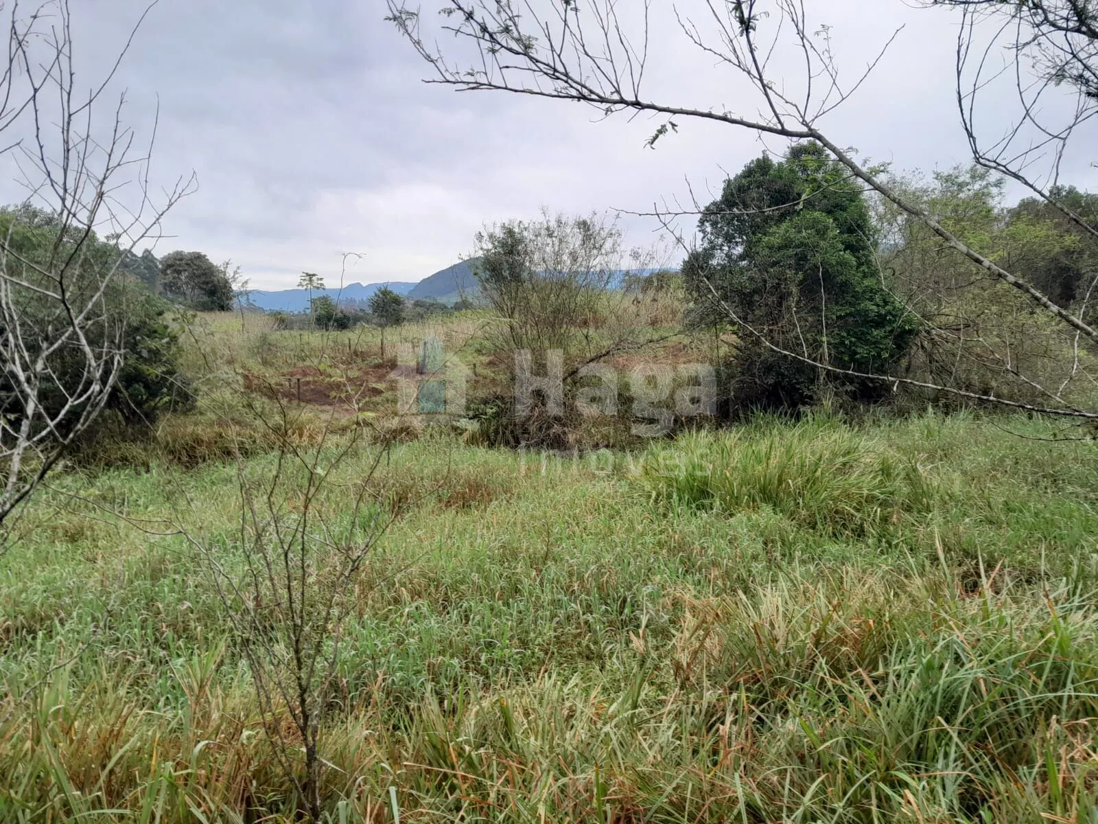 Fazenda à venda de 20 ha em Turvo, SC, Brasil