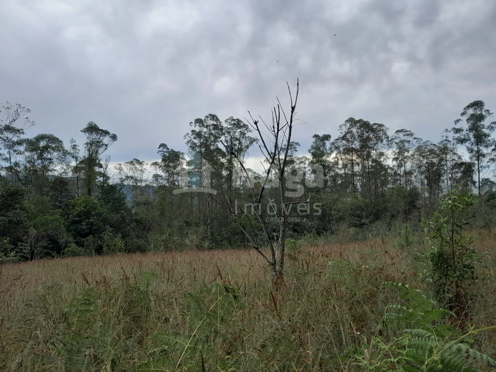 Fazenda à venda de 20 ha em Turvo, SC, Brasil