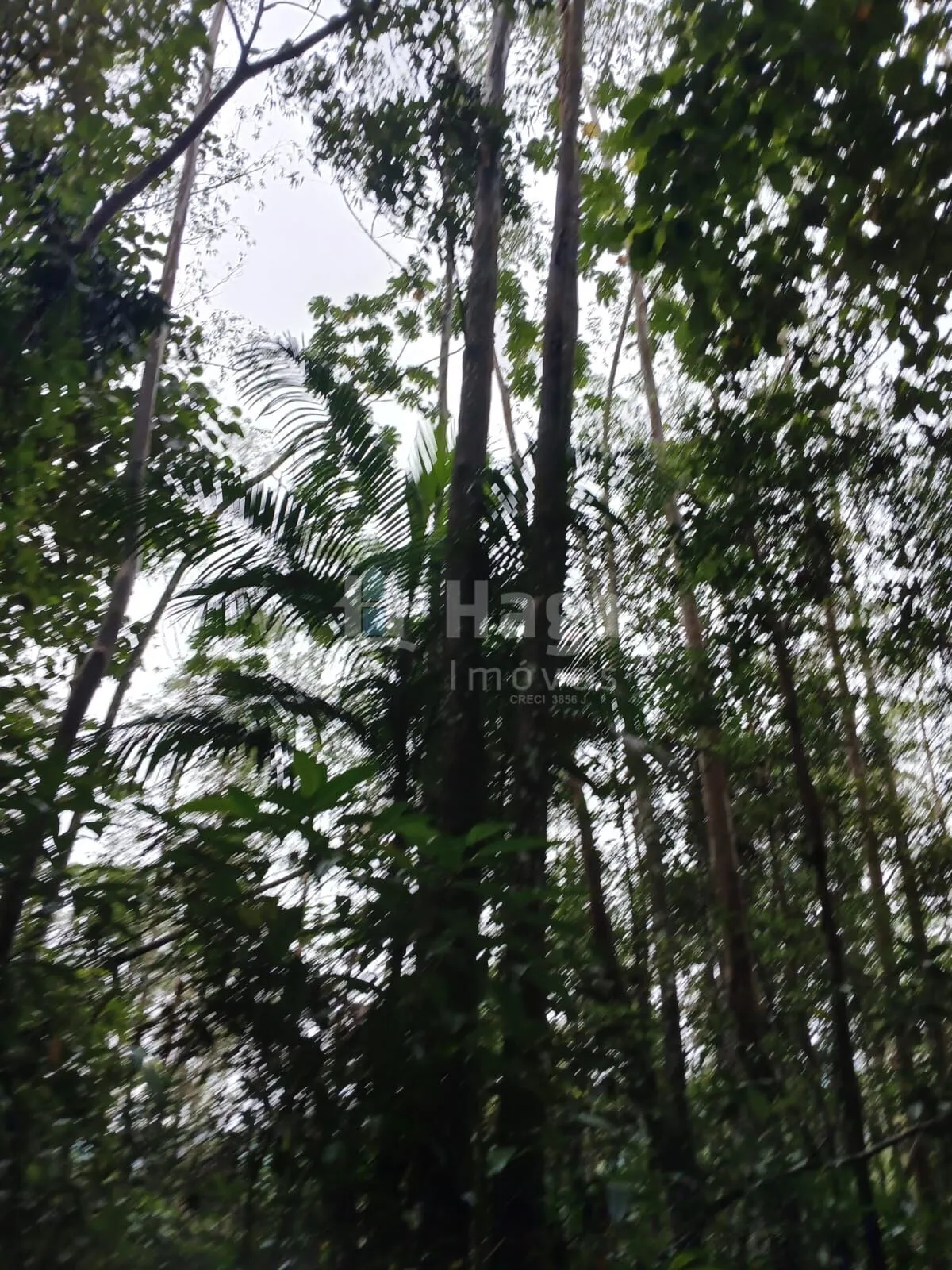 Fazenda à venda de 20 ha em Turvo, SC, Brasil