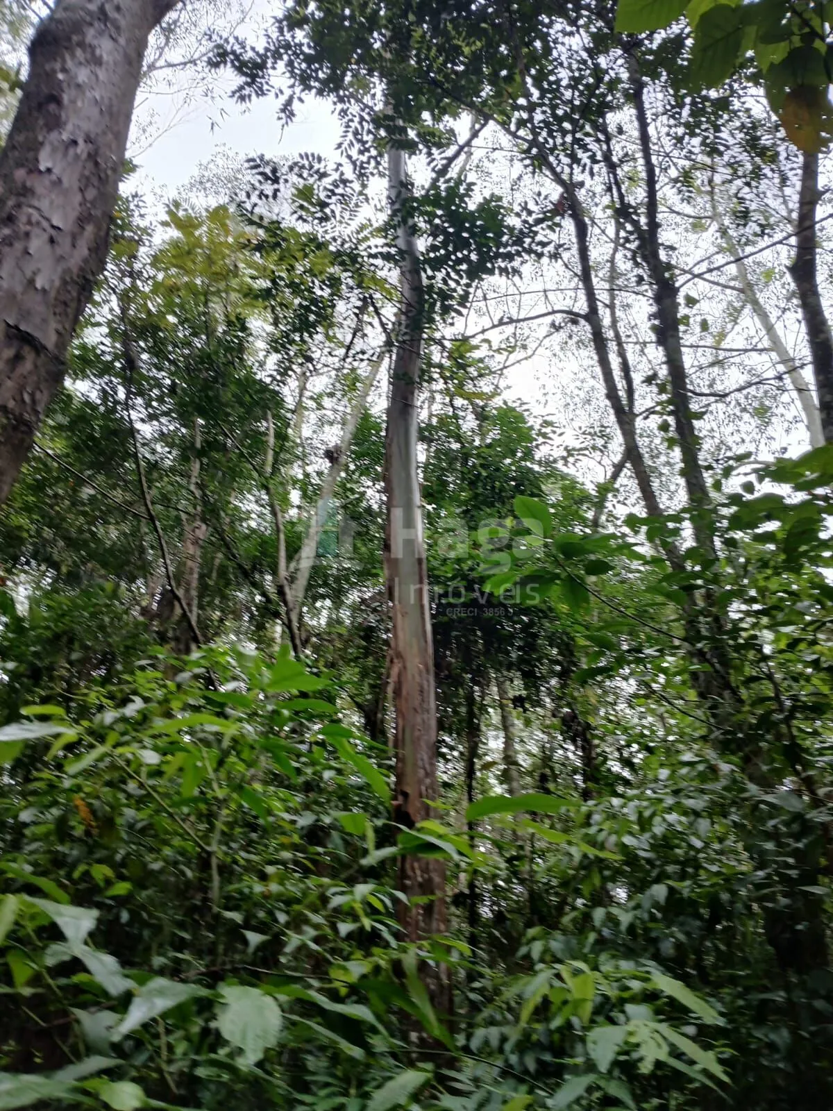 Fazenda à venda de 20 ha em Turvo, SC, Brasil