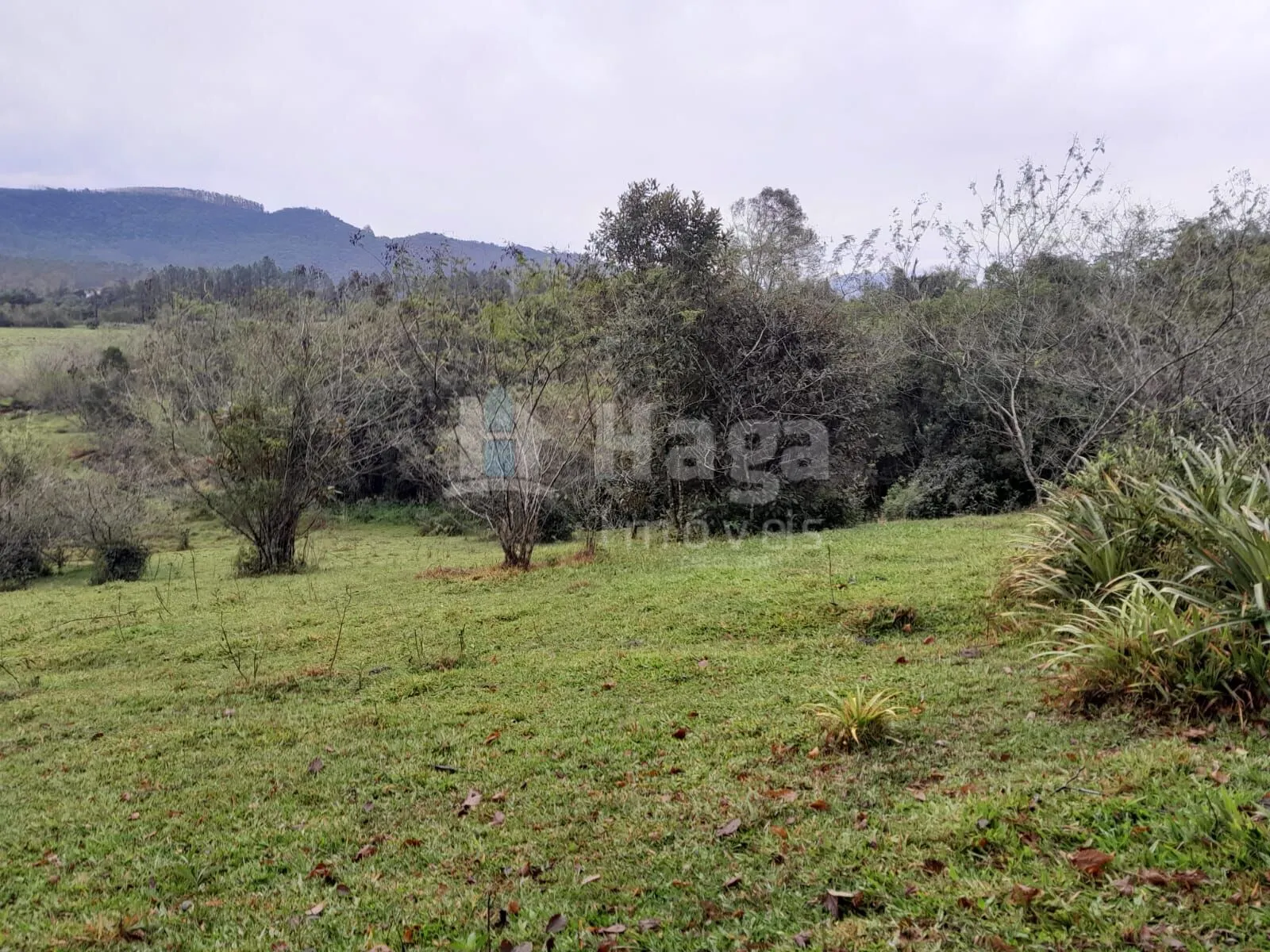 Fazenda à venda de 20 ha em Turvo, SC, Brasil