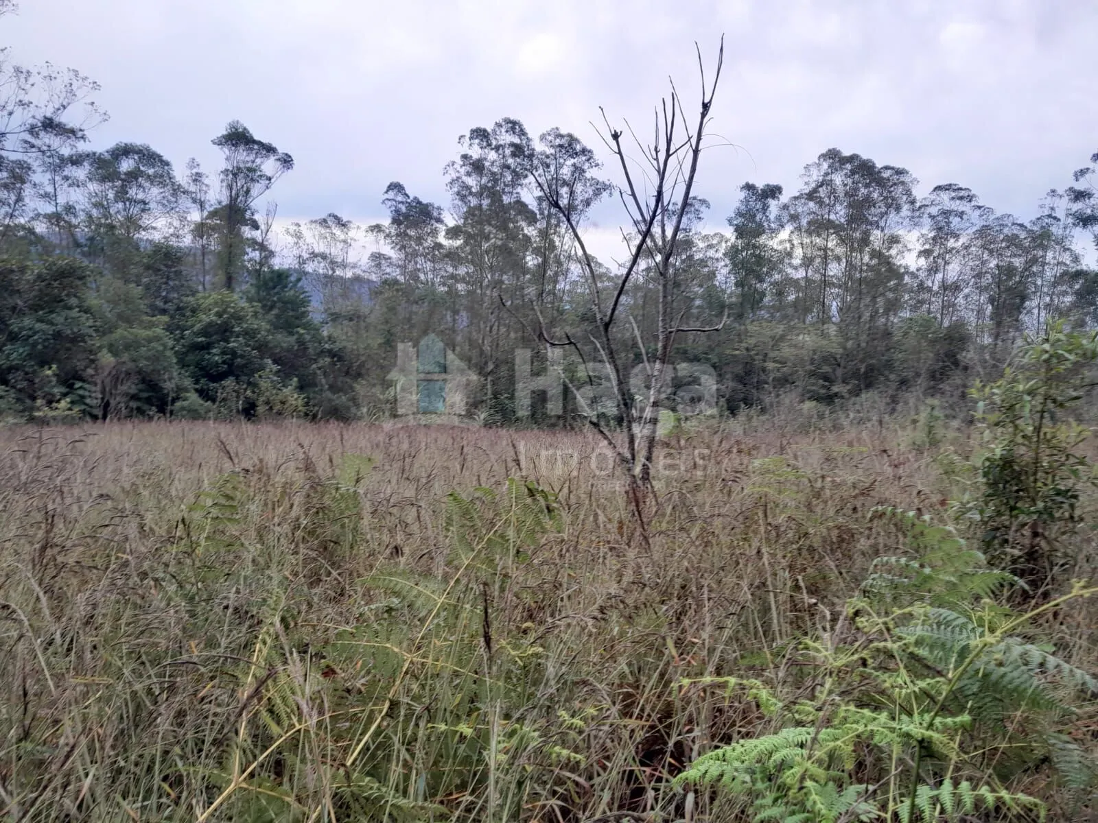 Fazenda à venda de 20 ha em Turvo, SC, Brasil