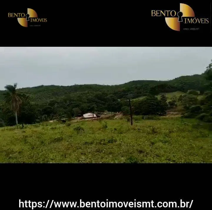 Fazenda à venda de 484 ha em Cáceres, MT, Brasil