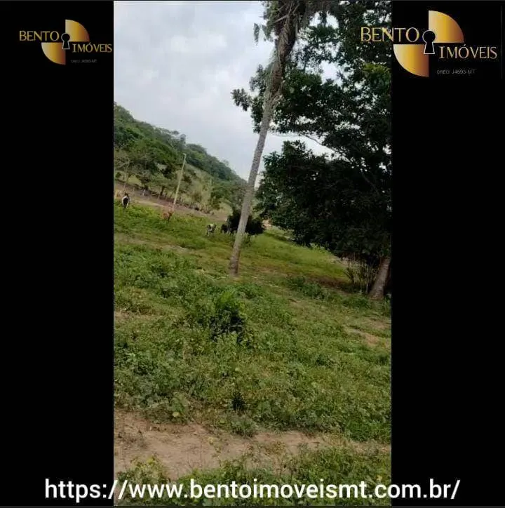 Fazenda à venda de 484 ha em Cáceres, MT, Brasil