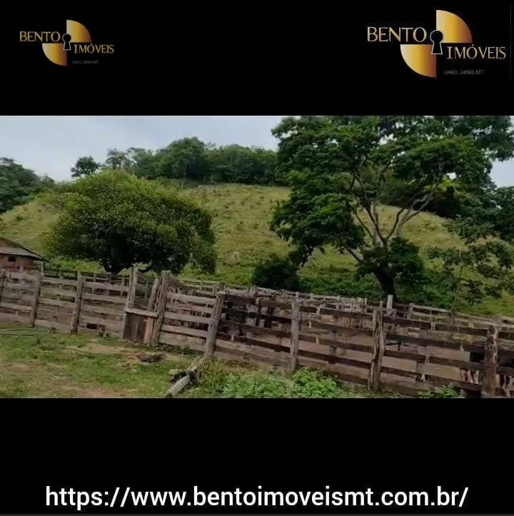 Fazenda à venda de 484 ha em Cáceres, MT, Brasil