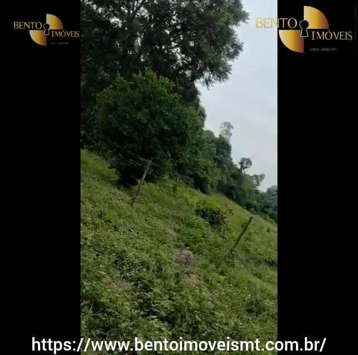 Fazenda à venda de 484 ha em Cáceres, MT, Brasil