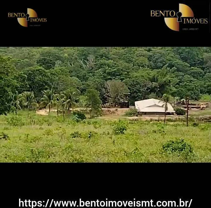 Fazenda à venda de 484 ha em Cáceres, MT, Brasil