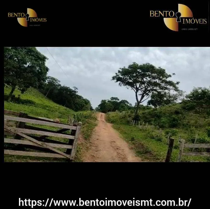 Fazenda à venda de 484 ha em Cáceres, MT, Brasil