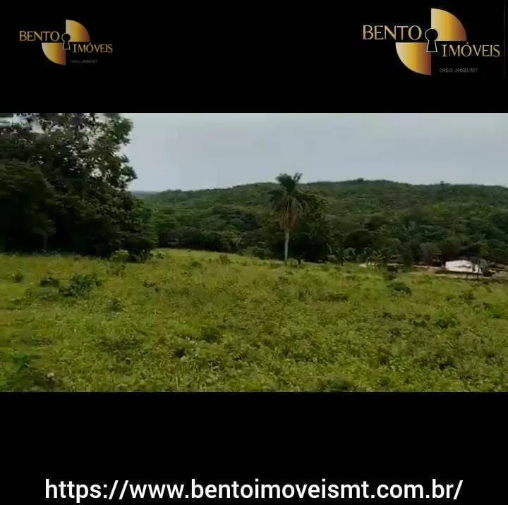 Fazenda à venda de 484 ha em Cáceres, MT, Brasil