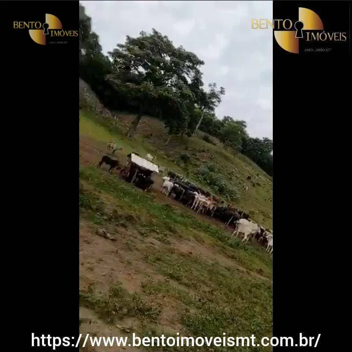 Fazenda à venda de 484 ha em Cáceres, MT, Brasil