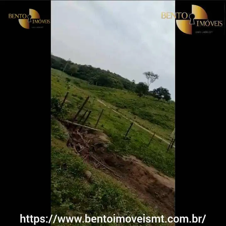 Fazenda à venda de 484 ha em Cáceres, MT, Brasil