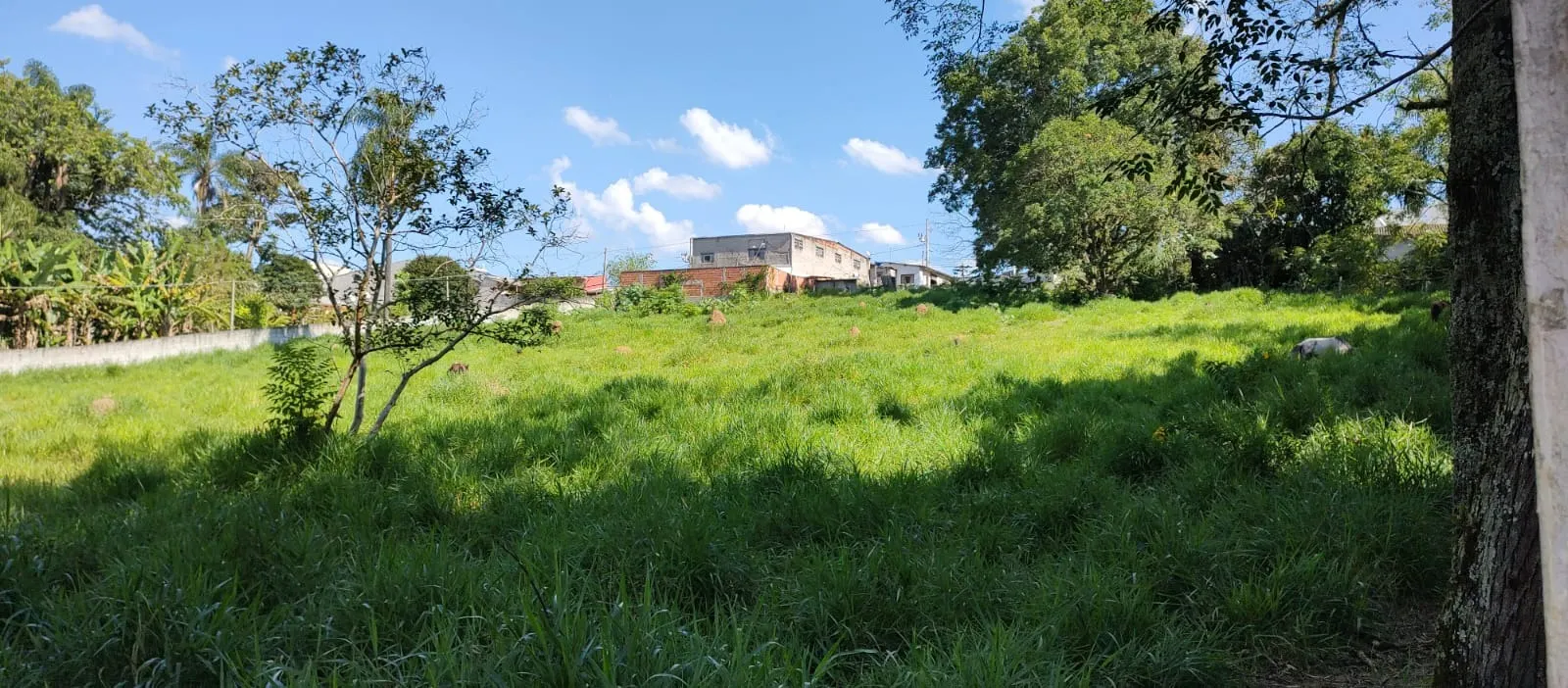 Chácara à venda de 1 ha em São José dos Campos, SP, Brasil
