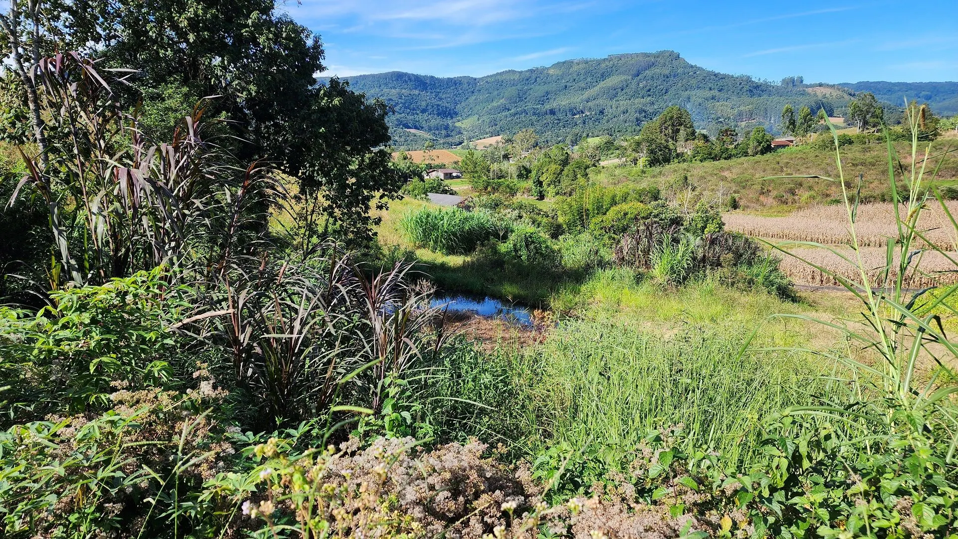Terreno à venda de 4 ha em Lontras, SC, Brasil
