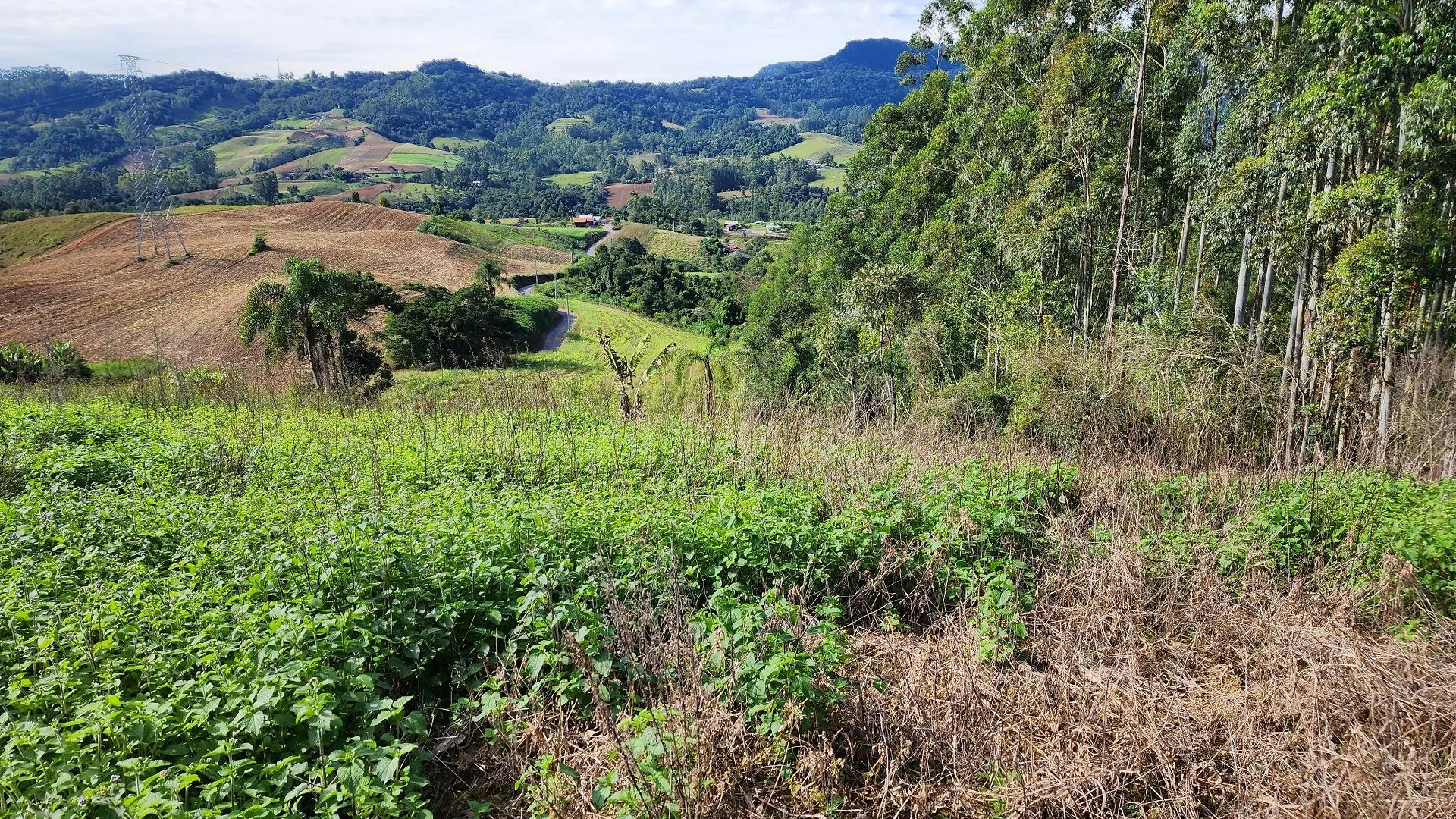 Terreno à venda de 4 ha em Lontras, SC, Brasil