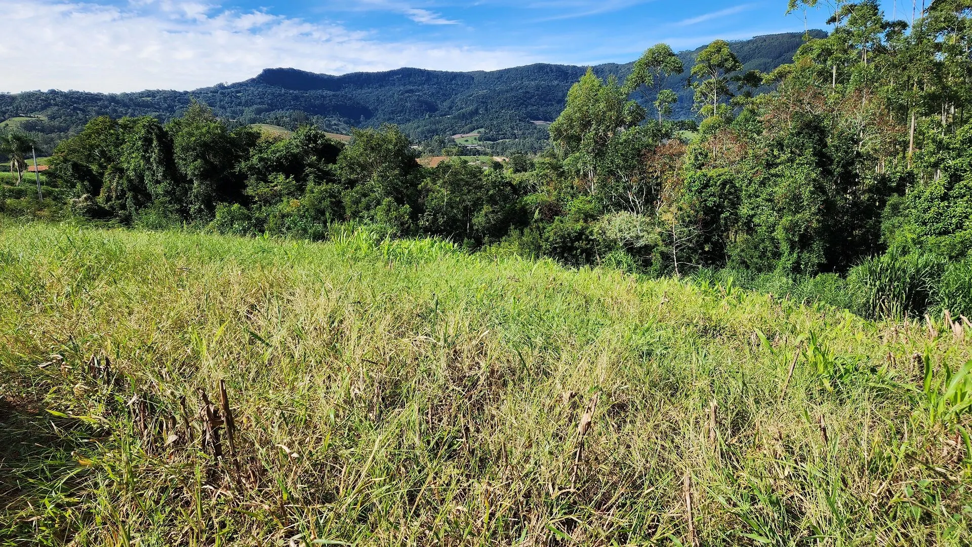 Terreno à venda de 4 ha em Lontras, SC, Brasil