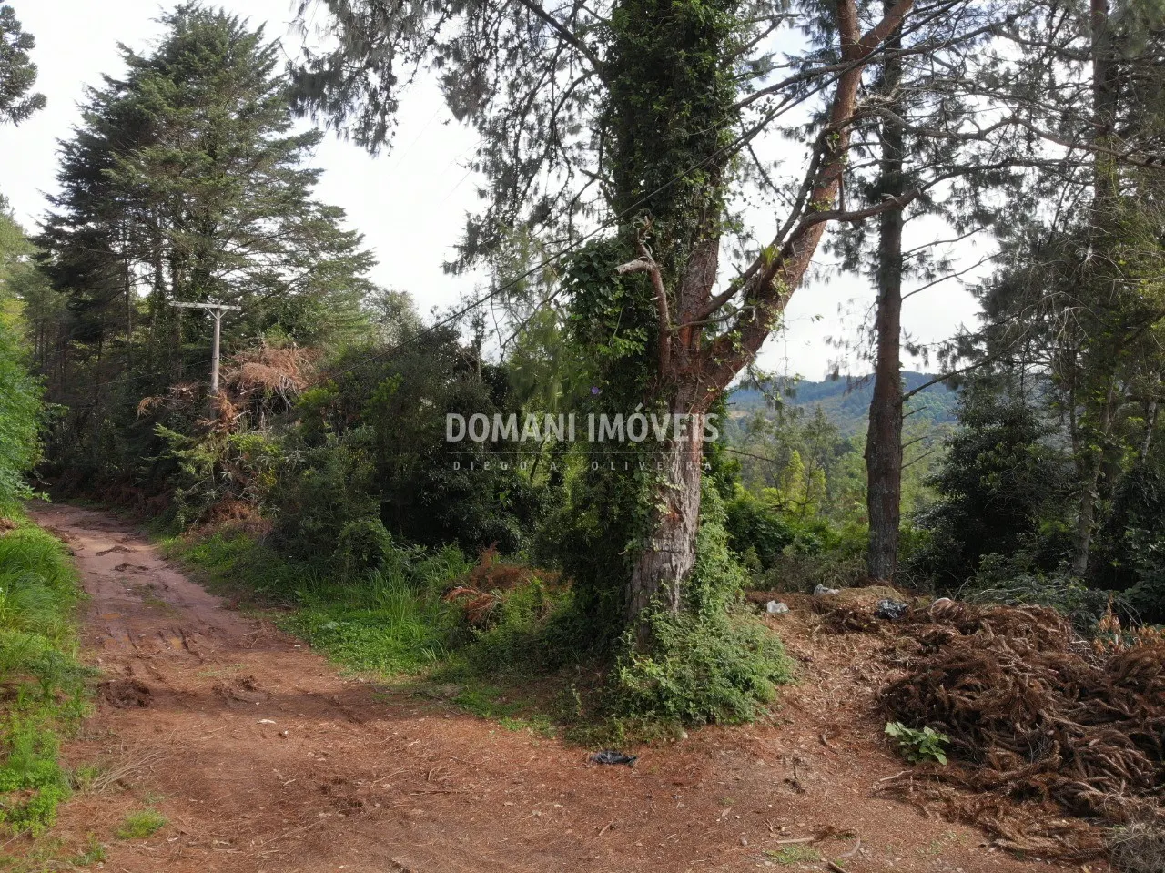 Terreno à venda de 1.760 m² em Campos do Jordão, SP, Brasil