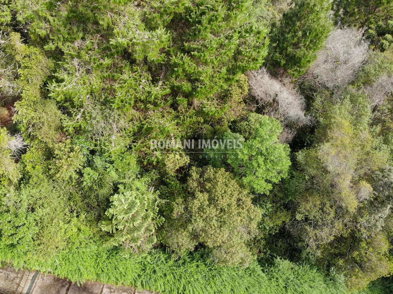 Terreno à venda de 1.760 m² em Campos do Jordão, SP, Brasil