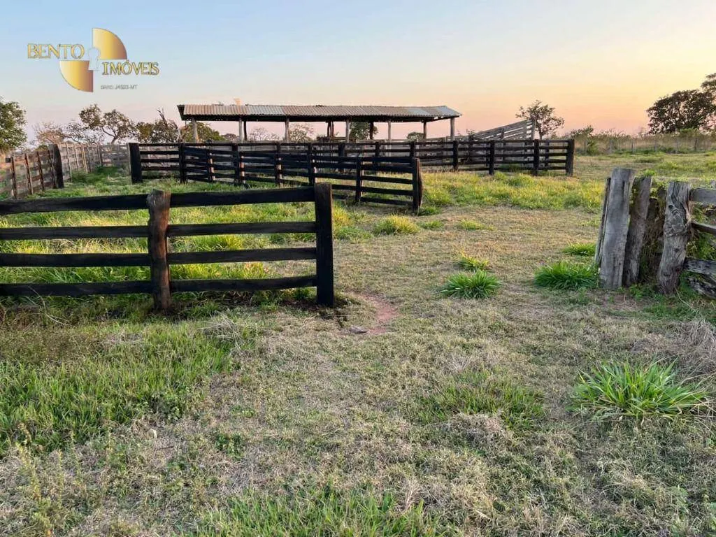 Fazenda à venda de 760 ha em Juscimeira, MT, Brasil