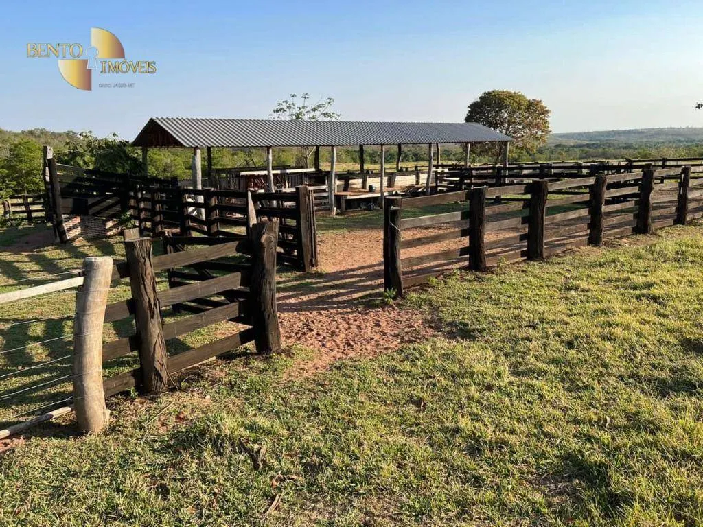 Fazenda à venda de 760 ha em Juscimeira, MT, Brasil
