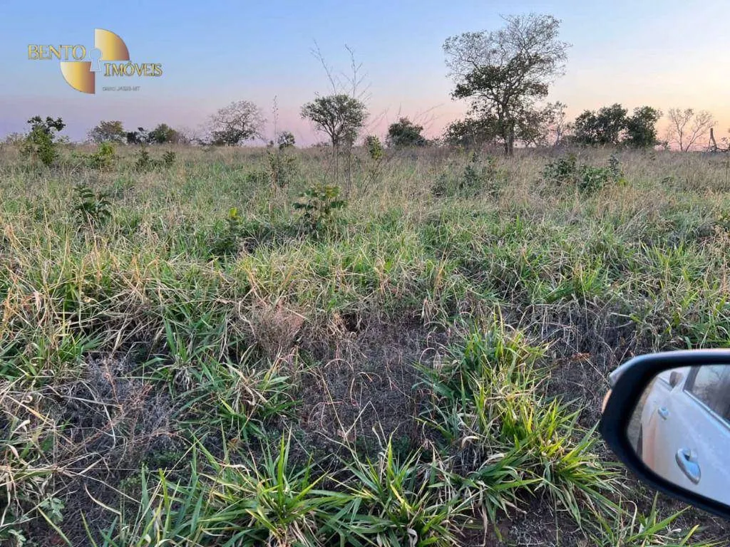 Fazenda à venda de 760 ha em Juscimeira, MT, Brasil