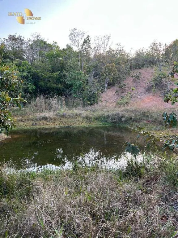 Fazenda à venda de 760 ha em Juscimeira, MT, Brasil
