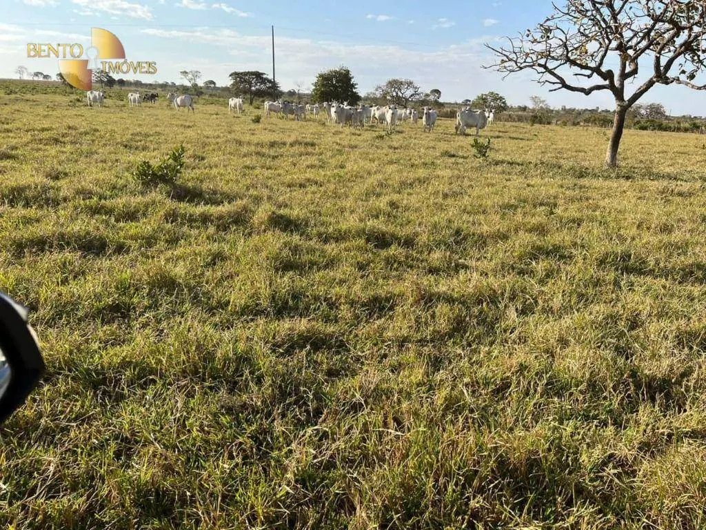 Fazenda à venda de 760 ha em Juscimeira, MT, Brasil