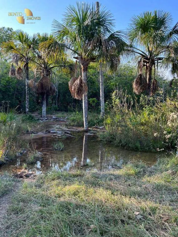 Fazenda à venda de 760 ha em Juscimeira, MT, Brasil
