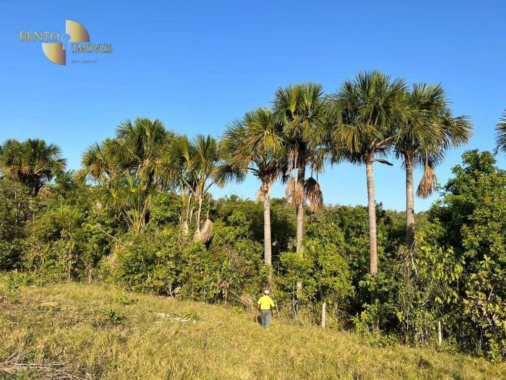 Fazenda à venda de 760 ha em Juscimeira, MT, Brasil