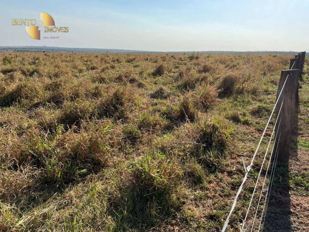 Fazenda à venda de 760 ha em Juscimeira, MT, Brasil