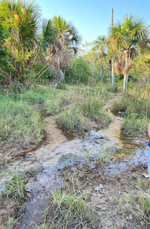 Fazenda à venda de 760 ha em Juscimeira, MT, Brasil