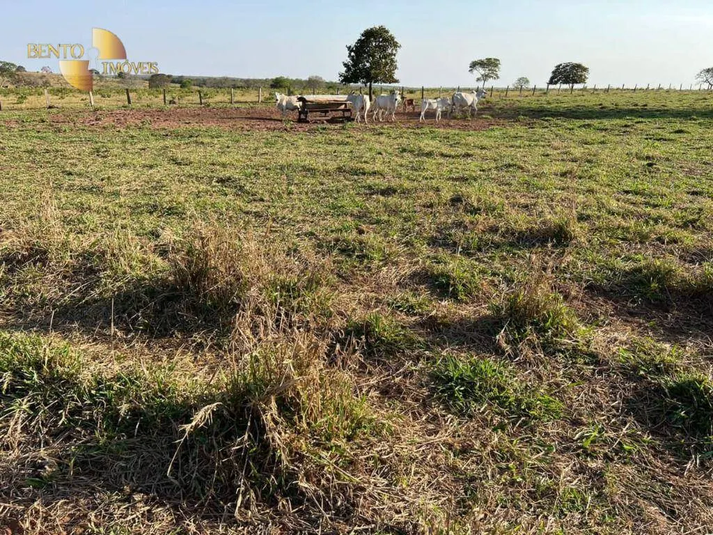 Fazenda à venda de 760 ha em Juscimeira, MT, Brasil