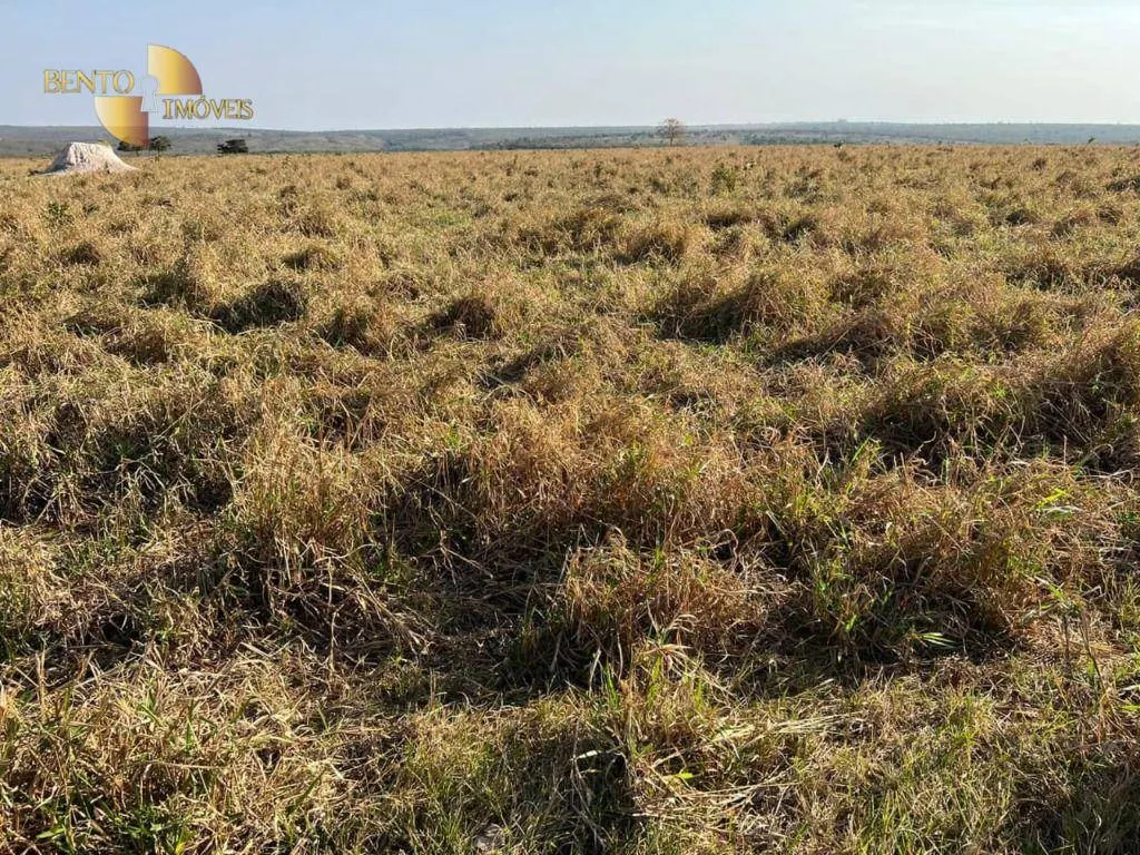 Fazenda à venda de 760 ha em Juscimeira, MT, Brasil